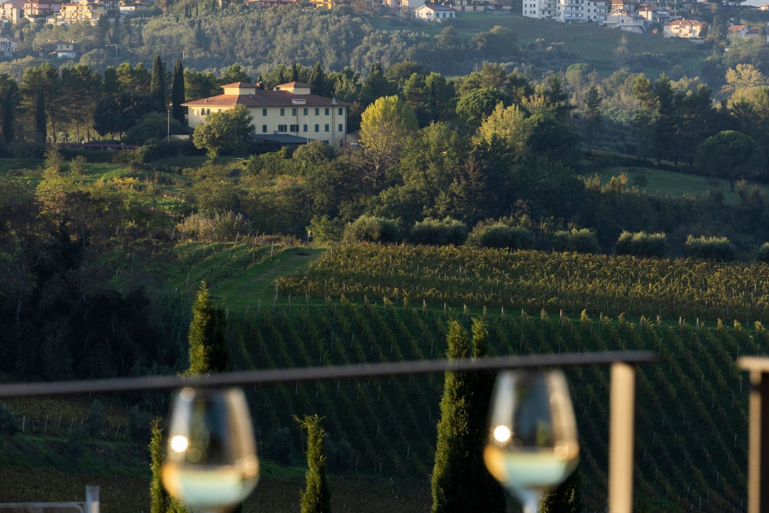 calici di vino su sfondo paesaggio vigneti 